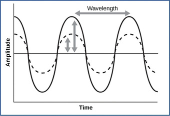 Amplitude