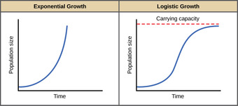 Exponential population growth