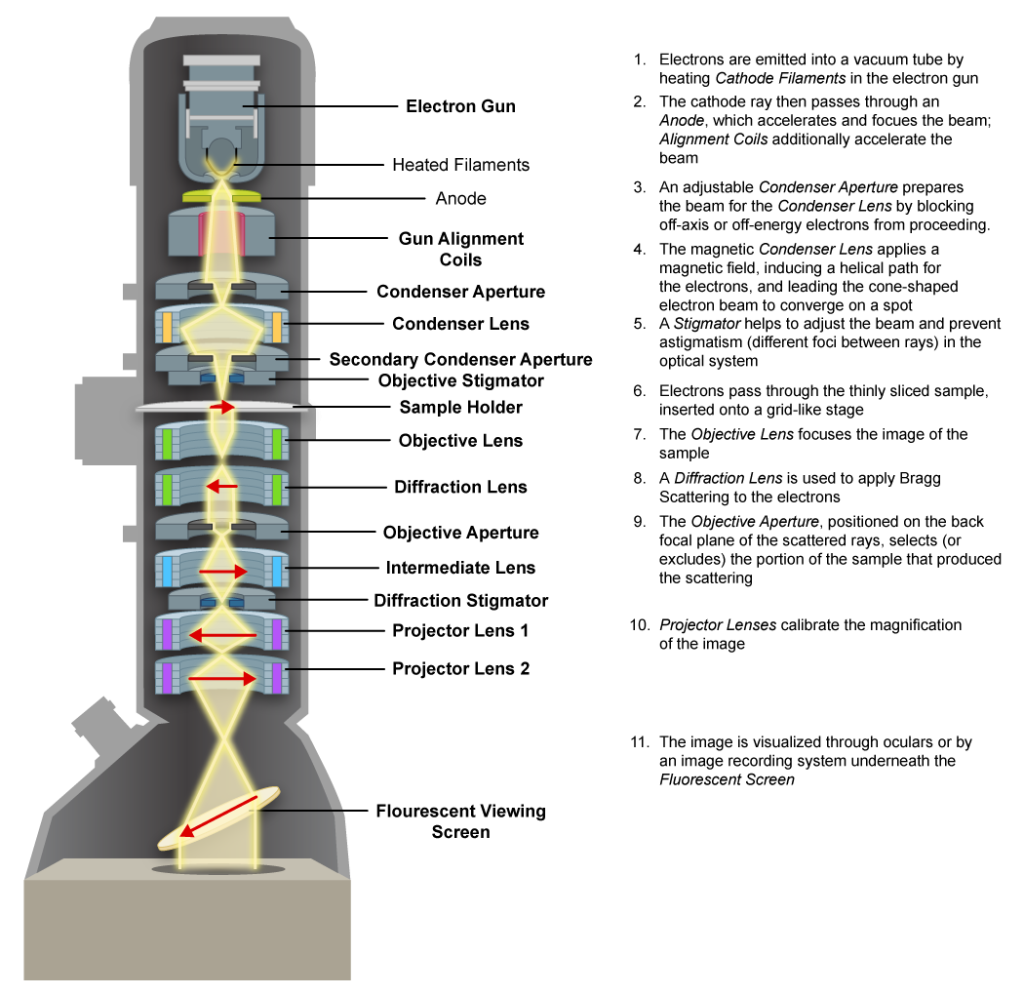 Transmission Electron Microscope. 