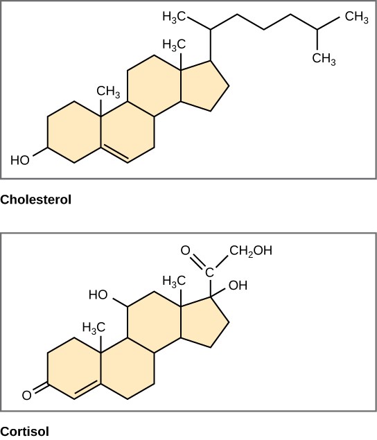 Steroids