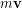 m\bold{v}