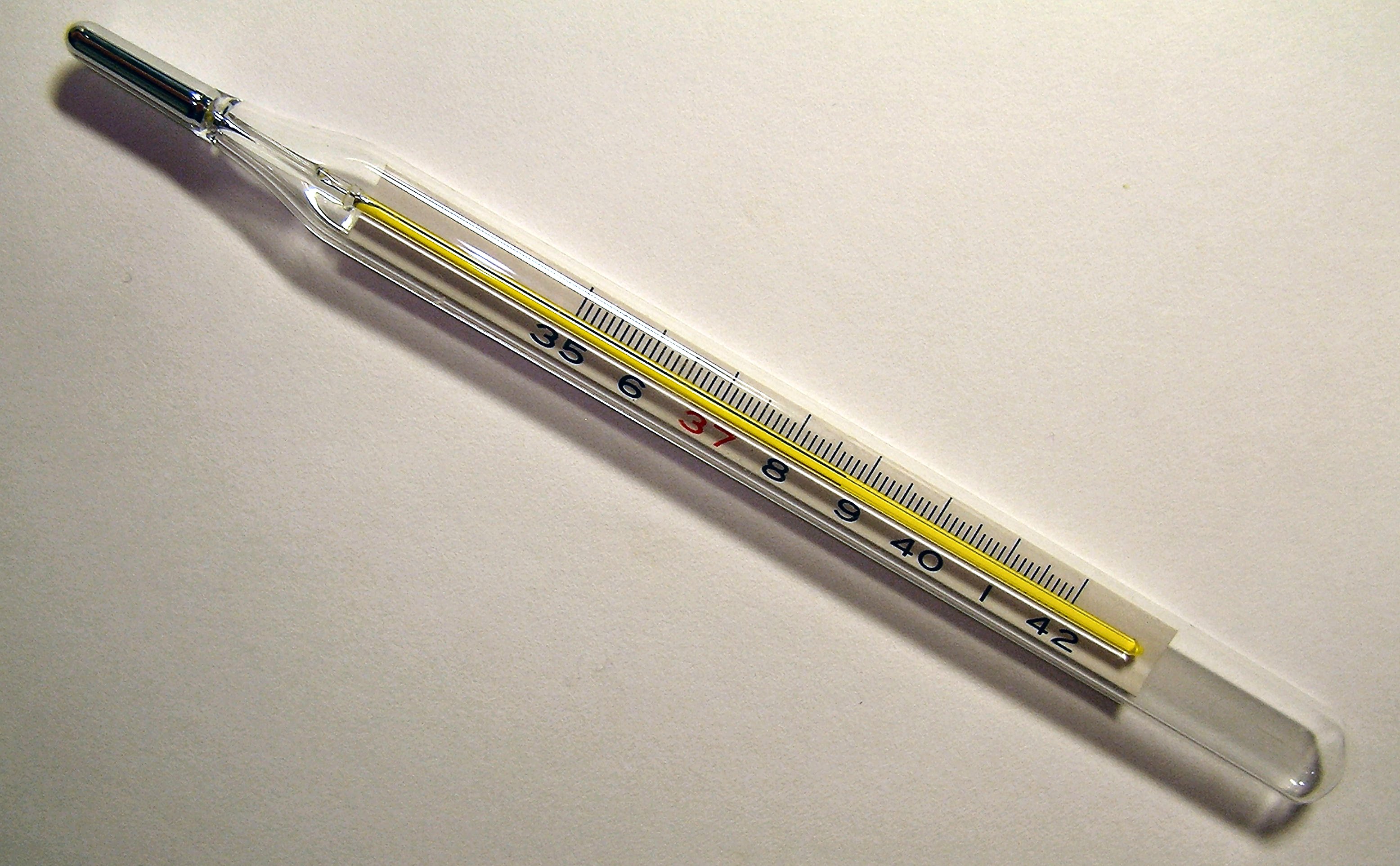 A glass tube filled with a colored liquid and marked with evenly spaced divisions and temperature values.