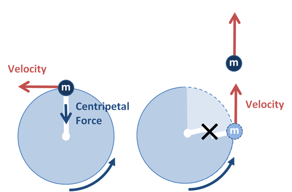 A ball moves in a circle. The tangential velocity is indicated by an arrow perpendicular to the radius of the circle, in the direction the mass moves at the current moment. The centripetal force points toward the center of the circle. A second diagram shows the centripetal force is removed and the mass moves off in a straight line, in the direction it was moving the instant centripetal force was removed.