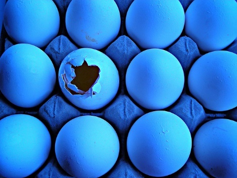 Aerial view of carton of eggs. One egg in the carton is broken, therefore breaking the pattern.