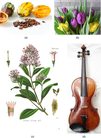 Importance of plants to humans