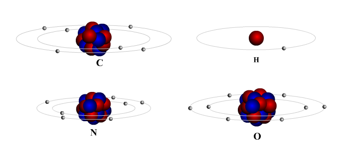 Activity 2.1 Count the number of protons and electrons in the Carbon, Hydrogen, Oxygen, and Nitrogen atoms shown below. Protons are red and neutrons are blue. Each atom should have the same number of protons as electrons. Art By University of Maryland University College CC-BY-NC