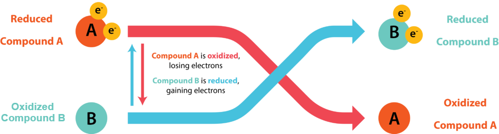 Conjugate Redux Pair