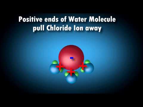 How Salt Dissolves in Water