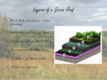 Figure 11. Green roofs are mandatory for all Phoenixian domiciles. This design is intended to provide several benefits: it extends the lifespan of the roof, provides food, purifies the air, and increases biodiversity.