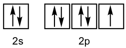 The 2s has a filled orbital, & the 2p has two filled orbitals with one orbital half filled