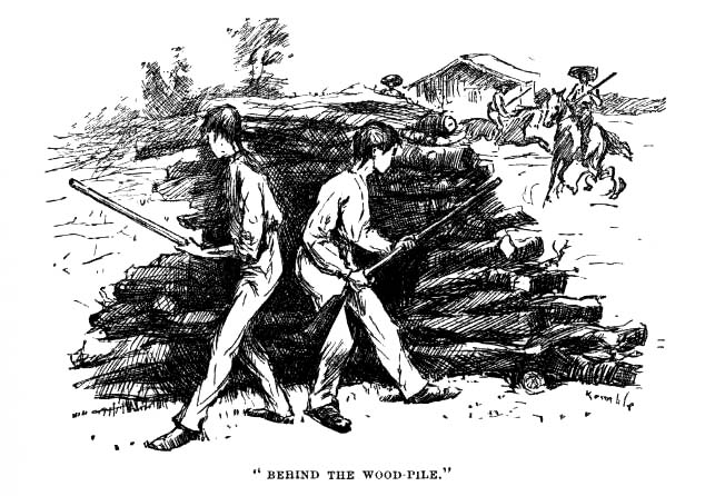 'Behind the wood-pile.