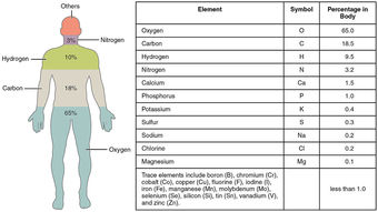 Elements of the human body arranged by percent of total mass