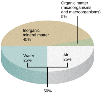 Components of soil