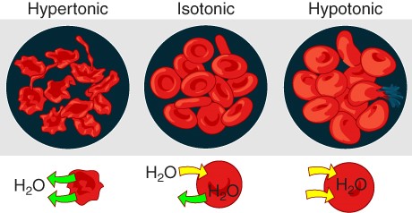 Diagram of concetration of solutions