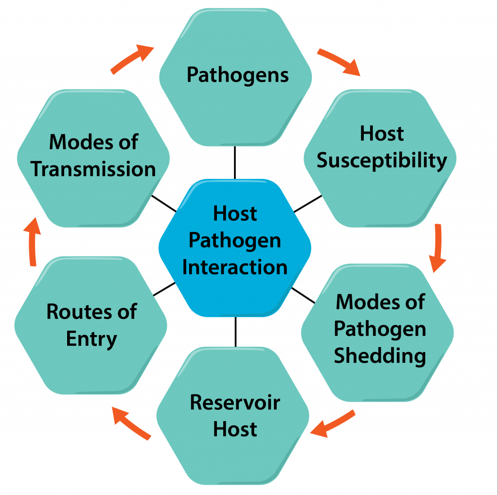 Host-Pathogen Interactions.
