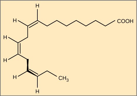 Fatty acid omega-3