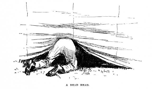 A dead head.