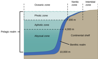 Oceanic zones