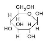 Figure 3.11 There are different ways to represent a glucose molecule (C6H12O6). Two of the most common are straight-chain form (left) and ring form (right). Carbon atoms in the vertices are not shown. 