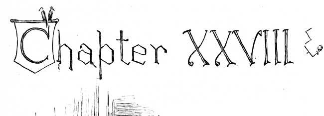 Chapter 28