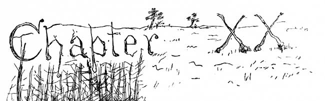 Chapter 20