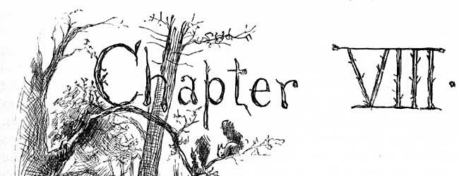 Chapter 8
