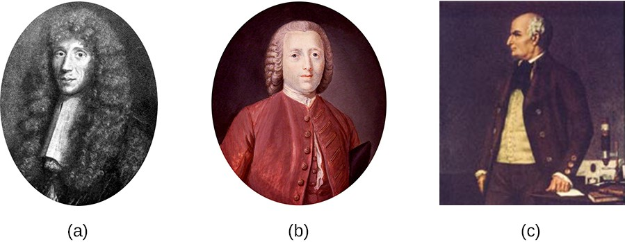 (a) Francesco Redi, who demonstrated that maggots were the offspring of flies, not products of spontaneous generation. (b) John Needham, who argued that microbes arose spontaneously in broth from a “life force.” (c) Lazzaro Spallanzani, whose experiments with broth aimed to disprove those of Needham.