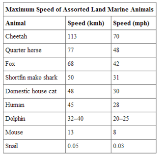 Animal speeds