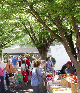 Pop-up canopies underneath trees on a sunny day.