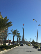A palm lined road