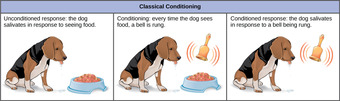 Classical conditioning