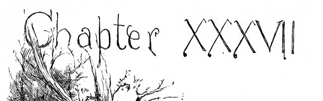 Chapter 37