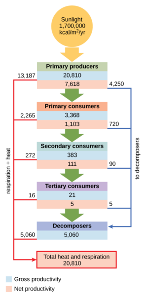Conceptual model of energy