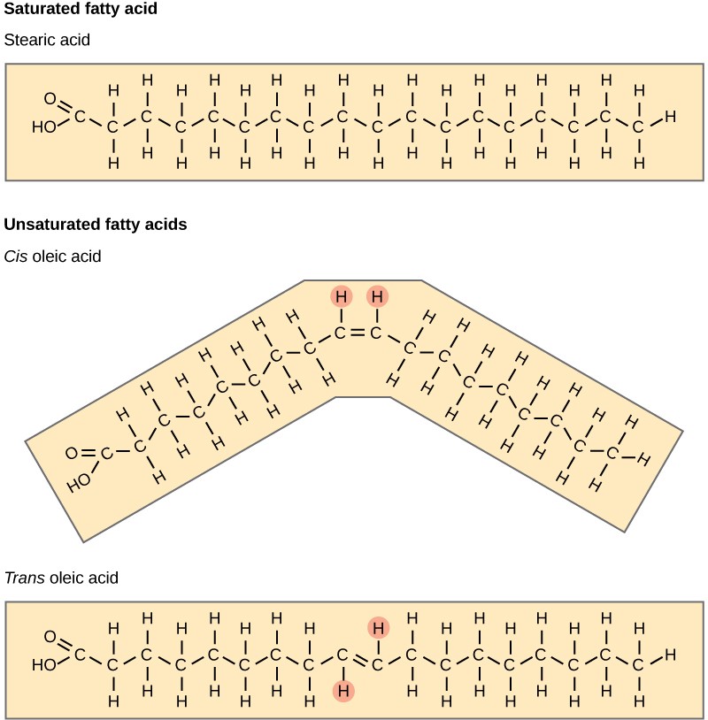 Saturated fatty acids