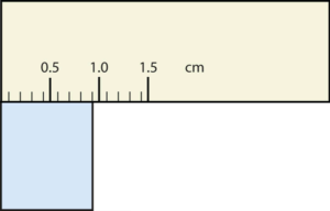 Rectangle is 0.9 cm wide.