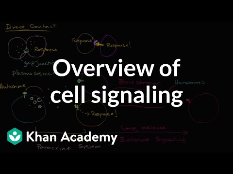 Thumbnail for the embedded element "Overview of cell signaling"