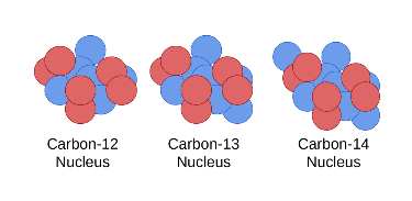 Figure 2.7 Right: Three isotopes of carbon (nuclei only, electrons not shown). Carbon-12 has six protons and six neutrons (12C), carbon-13 has six protons and seven neutrons (13C), carbon-14 has six protons and eight neutrons (14C). Art by Jason Donev CC-BY