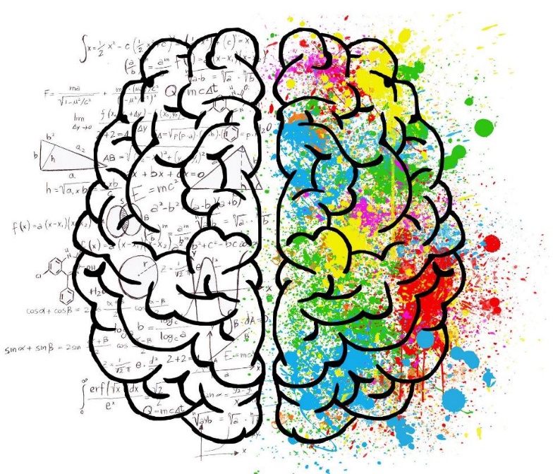 Superior View of the Brain. Artistic representation of the "artistic" right and "logic" left hemispheres