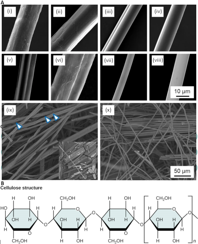 Figure 2.2.7. Figure 2.2.7. A) Scanning electron microscopy of single cellulose fibres (i) hemp, (ii) ramie, (iii) viscose, (iv) Tencel and their carbonised counterparts (v-viii) together with a low-magnification image of carbonised natural hemp fibres (ix) and Tencel regenerated cellulose fibres (x). Arrowheads in (ix) indicate cracks across the diameter of carbonised fibres leading to easy fragmentation as shown in the inset (note that a pair of fibres is shown in vi) (https://link.springer.com/article/10.1007/s10853-020-04743-y); B) Cellulose structure in cellulose, glucose monomers are linked in unbranched chains by β 1-4 glycosidic linkages. Because of the way the glucose subunits are joined, every glucose monomer is flipped relative to the next one resulting in a linear, fibrous structure.