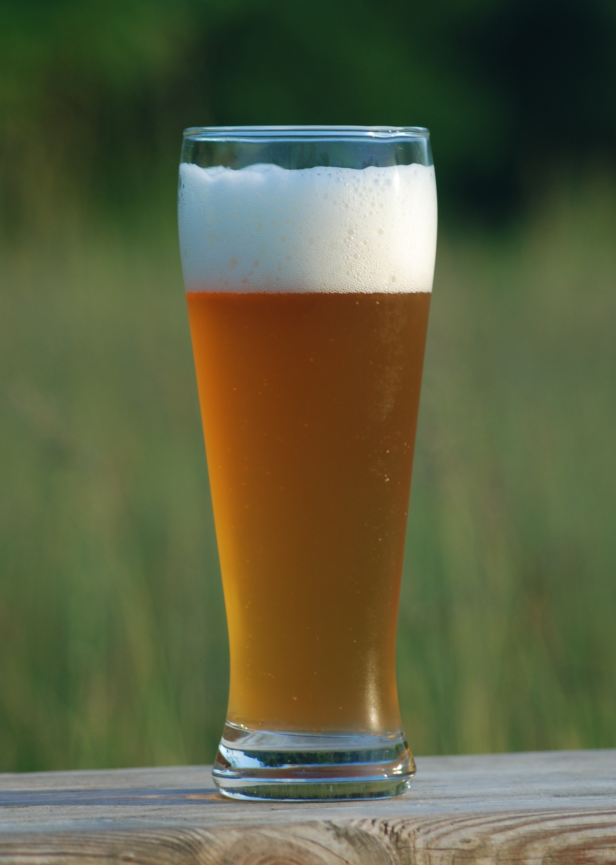 Large glass full of amber colored beer topped with white foam