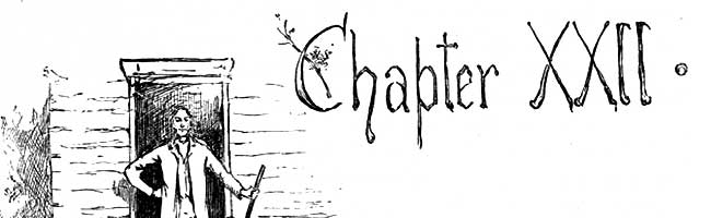 Chapter 22