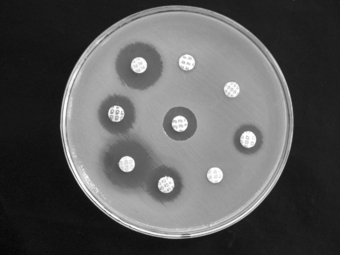 Antibiotic Treatment