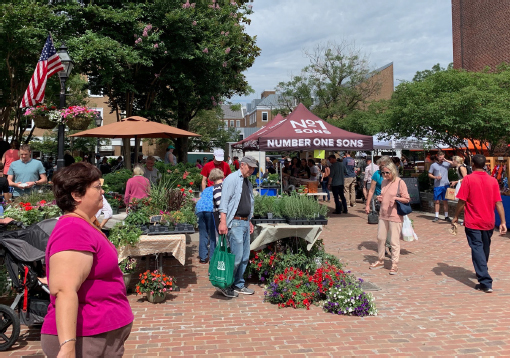 Several stalls set up outside, one with various flowers and other greenery on display.