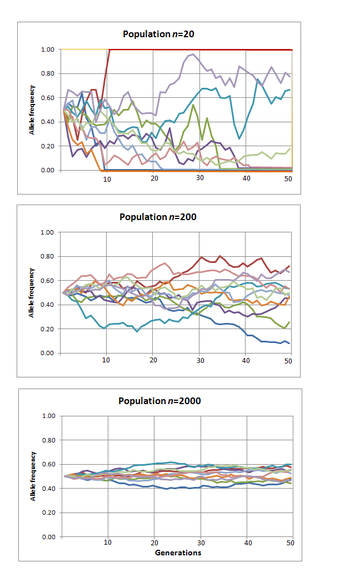 Genetic drift over time
