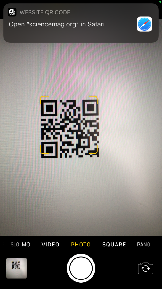 QR code displayed on standard iPhone Camera App