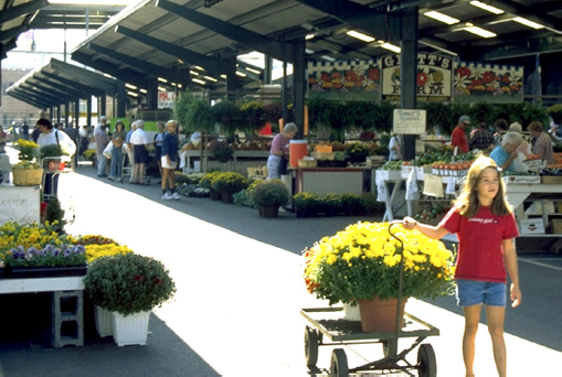 Girl in red pulling a wagon full of flowers, through an open market.
