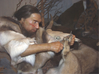 Homo sapiens neanderthalensis Tools