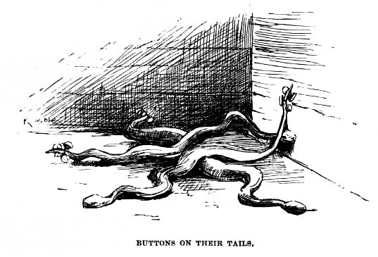 Buttons on their tails.