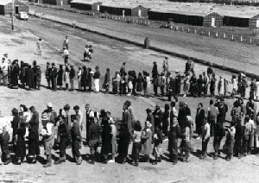 An image of a long line of people that snakes back and forth.