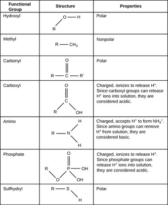 Examples of functional groups